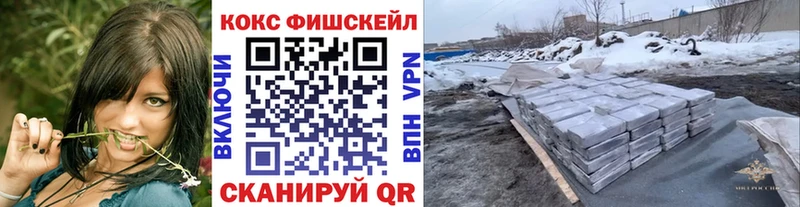 Cocaine Fish Scale  где купить наркоту  Избербаш 