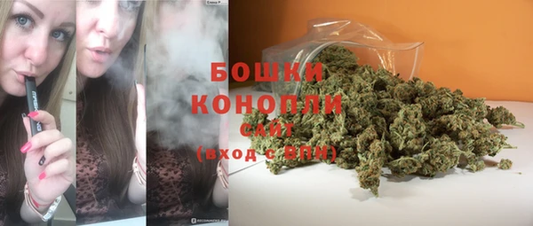 ешки Михайлов
