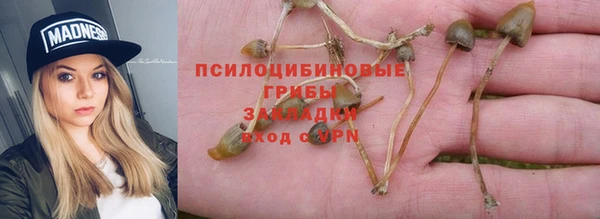 2c-b Михайловка