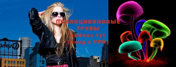ПСИЛОЦИБИНОВЫЕ ГРИБЫ Горняк