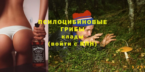 2c-b Михайловка