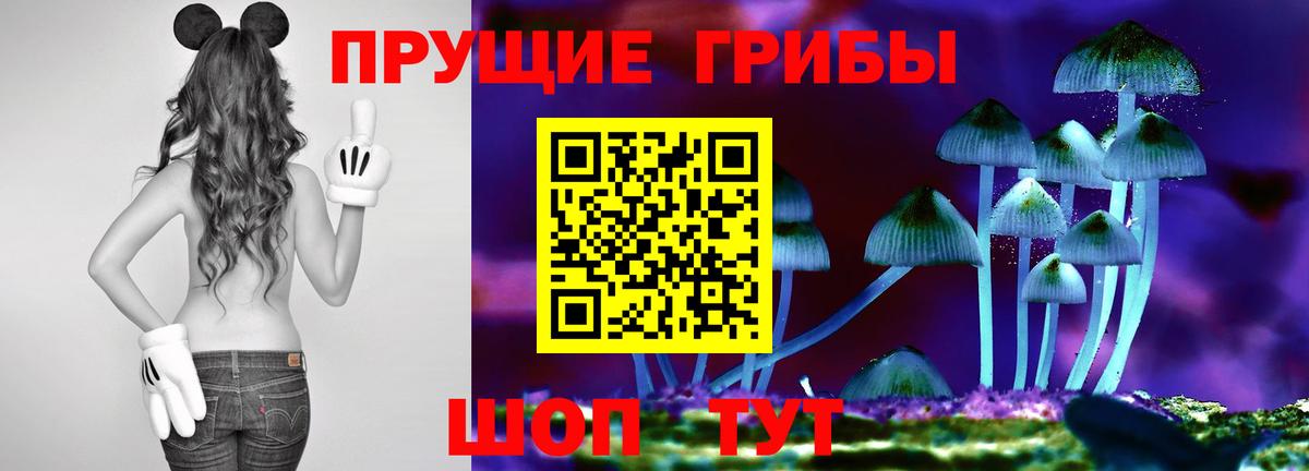 Галлюциногенные грибы мухоморы Избербаш