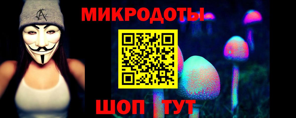 Галлюциногенные грибы Psilocybine cubensis  Вход с VPN  Избербаш 
